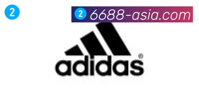 6688体育合作伙伴